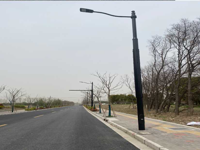 崖州区上海综合杆 太阳能路灯工程